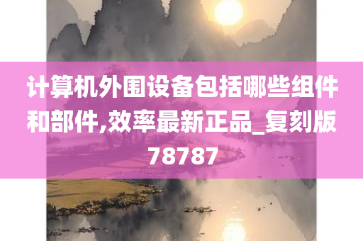 计算机外围设备包括哪些组件和部件,效率最新正品_复刻版78787