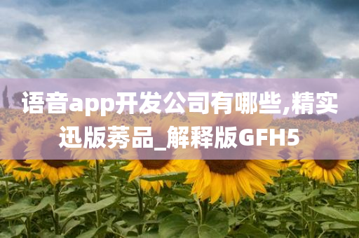 语音app开发公司有哪些,精实迅版莠品_解释版GFH5