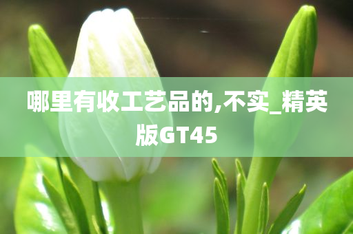 哪里有收工艺品的,不实_精英版GT45