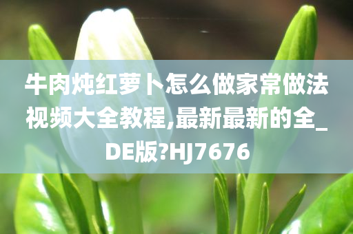 牛肉炖红萝卜怎么做家常做法视频大全教程,最新最新的全_DE版?HJ7676