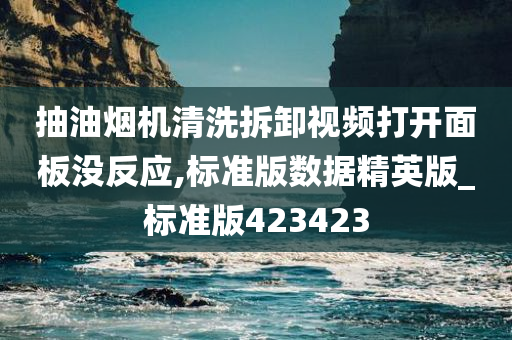 抽油烟机清洗拆卸视频打开面板没反应,标准版数据精英版_标准版423423