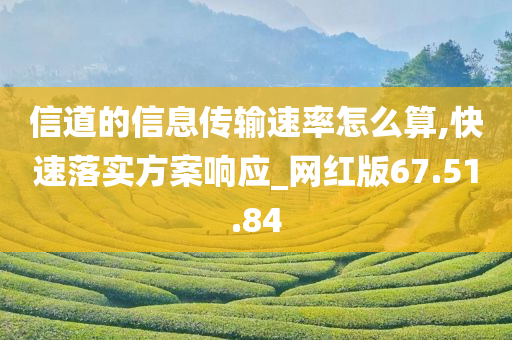 信道的信息传输速率怎么算,快速落实方案响应_网红版67.51.84