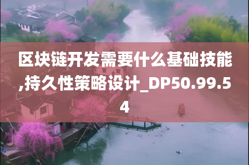 区块链开发需要什么基础技能,持久性策略设计_DP50.99.54