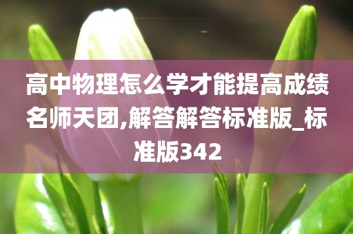 高中物理怎么学才能提高成绩名师天团,解答解答标准版_标准版342