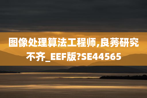 图像处理算法工程师,良莠研究不齐_EEF版?SE44565