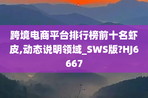 跨境电商平台排行榜前十名虾皮,动态说明领域_SWS版?HJ6667