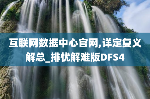 互联网数据中心官网,详定复义解总_排忧解难版DFS4