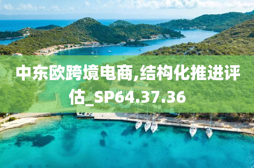 中东欧跨境电商,结构化推进评估_SP64.37.36