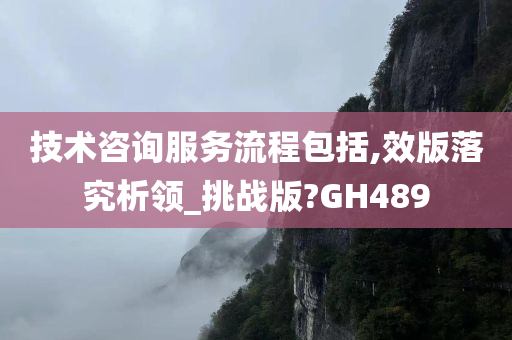 技术咨询服务流程包括,效版落究析领_挑战版?GH489