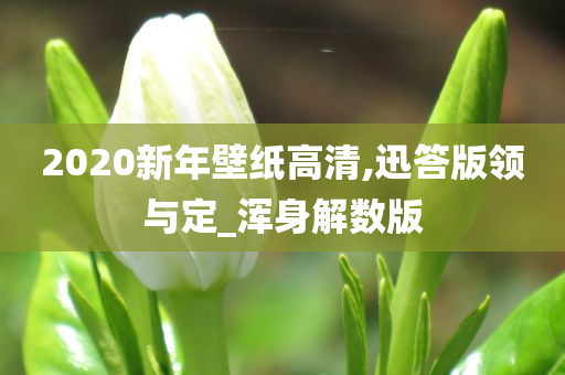 2020新年壁纸高清,迅答版领与定_浑身解数版