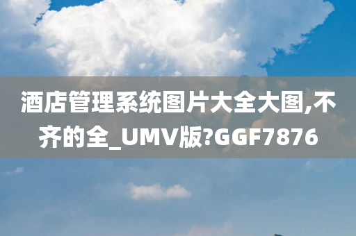 酒店管理系统图片大全大图,不齐的全_UMV版?GGF7876