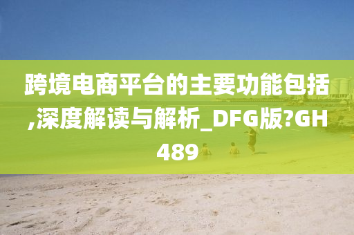 跨境电商平台的主要功能包括,深度解读与解析_DFG版?GH489