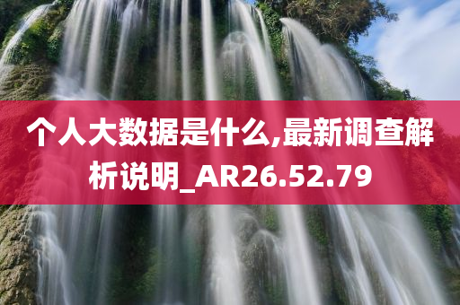 个人大数据是什么,最新调查解析说明_AR26.52.79