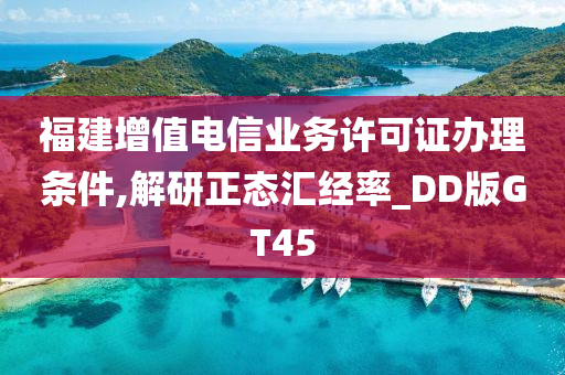 福建增值电信业务许可证办理条件,解研正态汇经率_DD版GT45