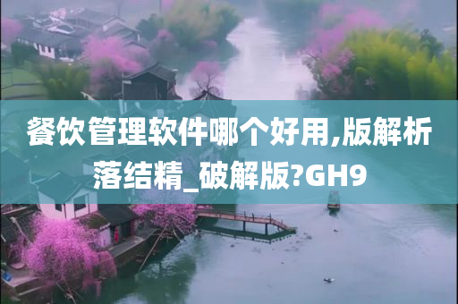 餐饮管理软件哪个好用,版解析落结精_破解版?GH9