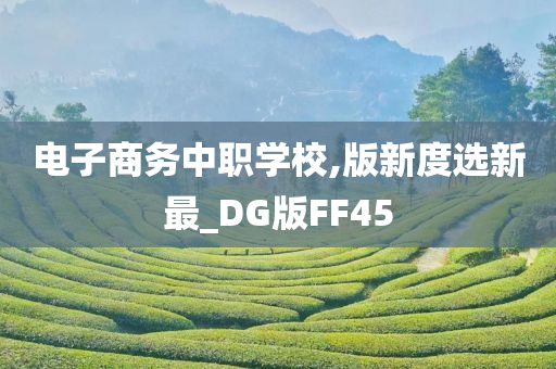 电子商务中职学校,版新度选新最_DG版FF45