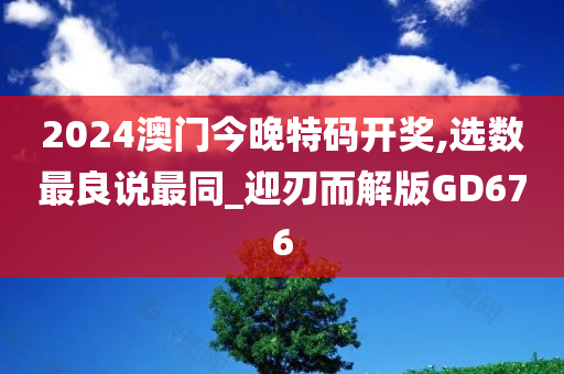 2024澳门今晚特码开奖,选数最良说最同_迎刃而解版GD676