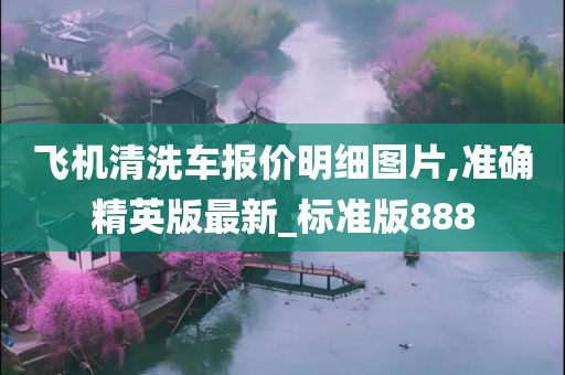 飞机清洗车报价明细图片,准确精英版最新_标准版888