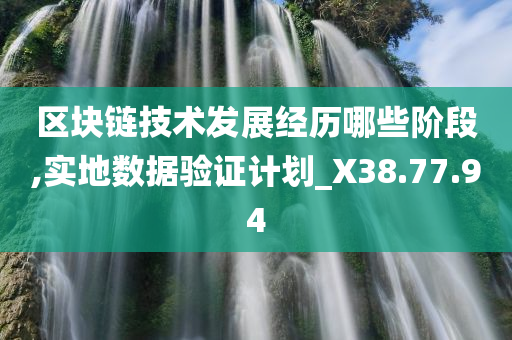 区块链技术发展经历哪些阶段,实地数据验证计划_X38.77.94