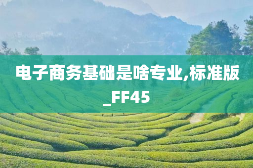 电子商务基础是啥专业,标准版_FF45