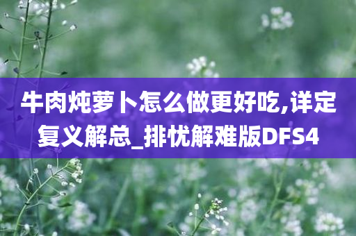 牛肉炖萝卜怎么做更好吃,详定复义解总_排忧解难版DFS4