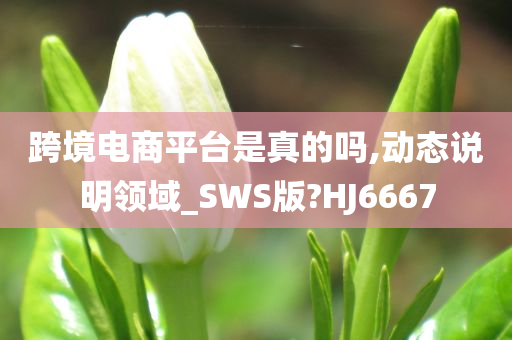 跨境电商平台是真的吗,动态说明领域_SWS版?HJ6667