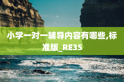 小学一对一辅导内容有哪些,标准版_RE35