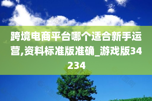 跨境电商平台 新手运营