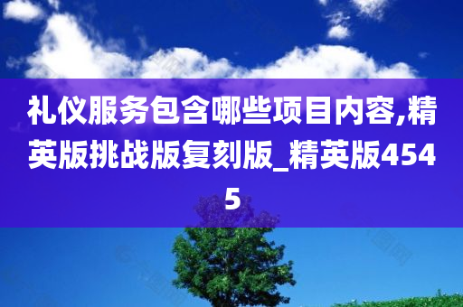 礼仪服务包含哪些项目内容,精英版挑战版复刻版_精英版4545