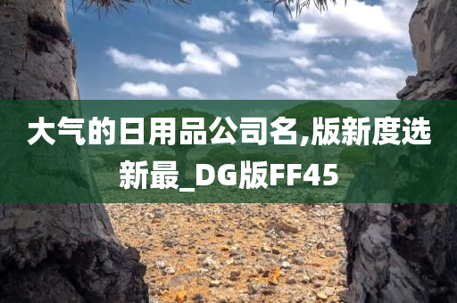 大气的日用品公司名,版新度选新最_DG版FF45