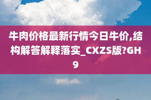 牛肉价格最新行情今日牛价,结构解答解释落实_CXZS版?GH9