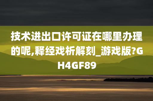 技术进出口许可证在哪里办理的呢,释经戏析解刻_游戏版?GH4GF89