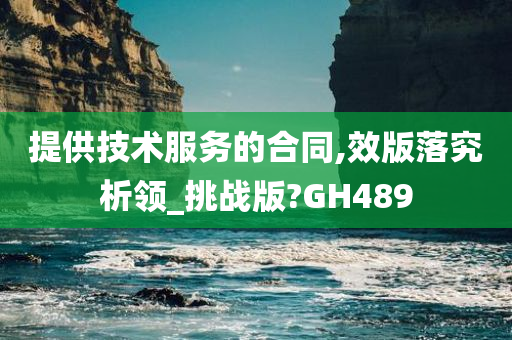 提供技术服务的合同,效版落究析领_挑战版?GH489