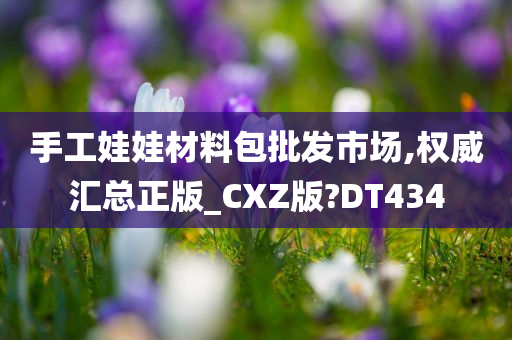 手工娃娃材料包批发市场,权威汇总正版_CXZ版?DT434