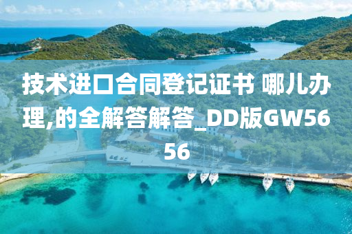 技术进口合同登记证书 哪儿办理,的全解答解答_DD版GW5656