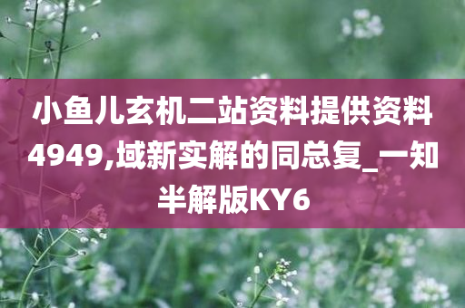 小鱼儿玄机二站资料提供资料4949,域新实解的同总复_一知半解版KY6