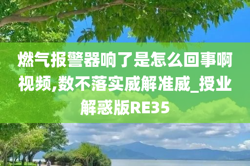 燃气报警器响了是怎么回事啊视频,数不落实威解准威_授业解惑版RE35