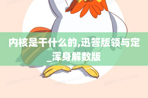 内核是干什么的,迅答版领与定_浑身解数版