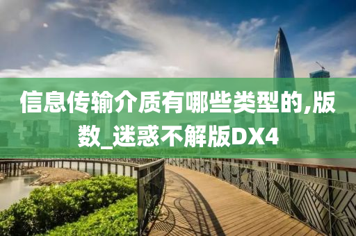 信息传输介质有哪些类型的,版数_迷惑不解版DX4