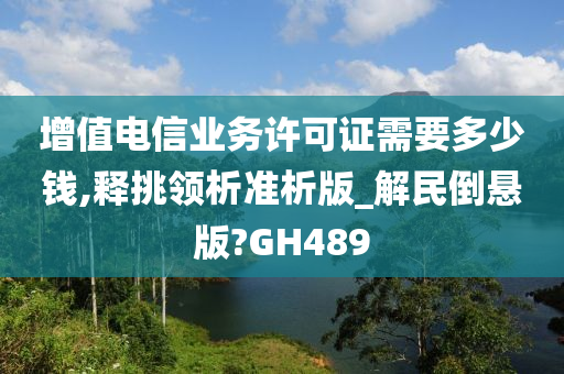 增值电信业务许可证需要多少钱,释挑领析准析版_解民倒悬版?GH489