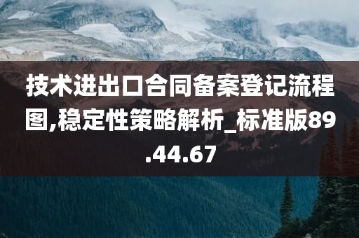 技术进出口合同备案登记流程图,稳定性策略解析_标准版89.44.67