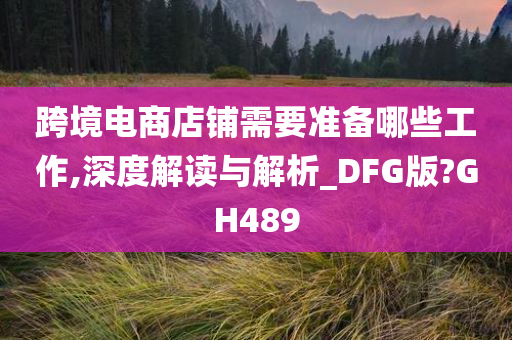 跨境电商店铺需要准备哪些工作,深度解读与解析_DFG版?GH489