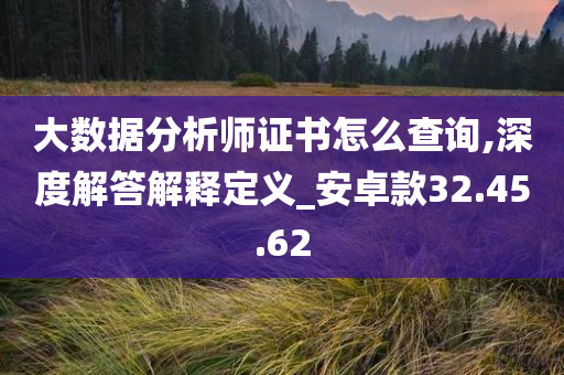 大数据分析师证书怎么查询,深度解答解释定义_安卓款32.45.62