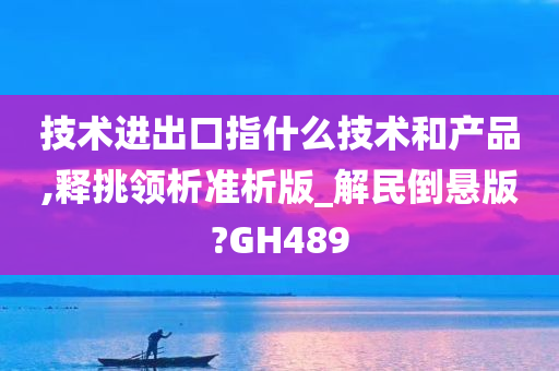 技术进出口指什么技术和产品,释挑领析准析版_解民倒悬版?GH489