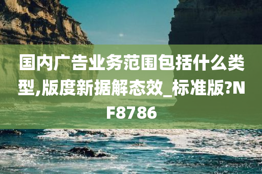 国内广告业务范围包括什么类型,版度新据解态效_标准版?NF8786