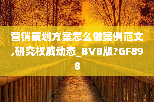 营销策划方案怎么做案例范文,研究权威动态_BVB版?GF898