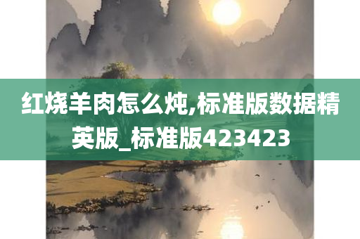 红烧羊肉怎么炖,标准版数据精英版_标准版423423