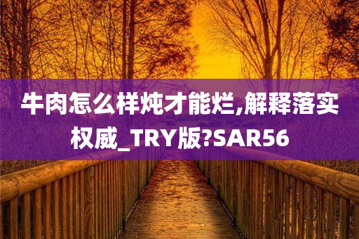 牛肉怎么样炖才能烂,解释落实权威_TRY版?SAR56