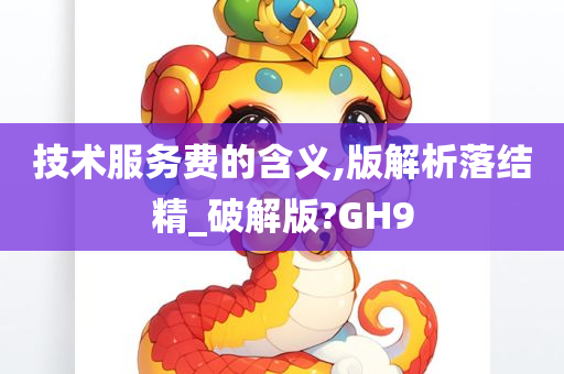 技术服务费的含义,版解析落结精_破解版?GH9