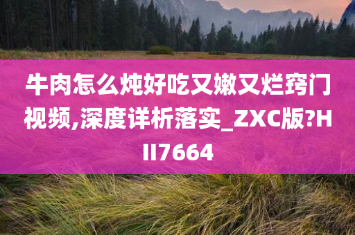 牛肉怎么炖好吃又嫩又烂窍门视频,深度详析落实_ZXC版?HII7664